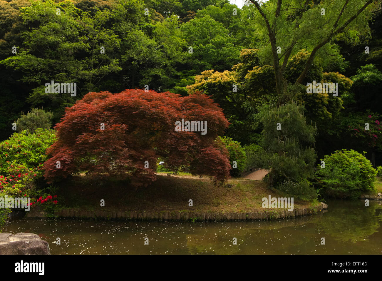 Japanischer Garten Stockfoto