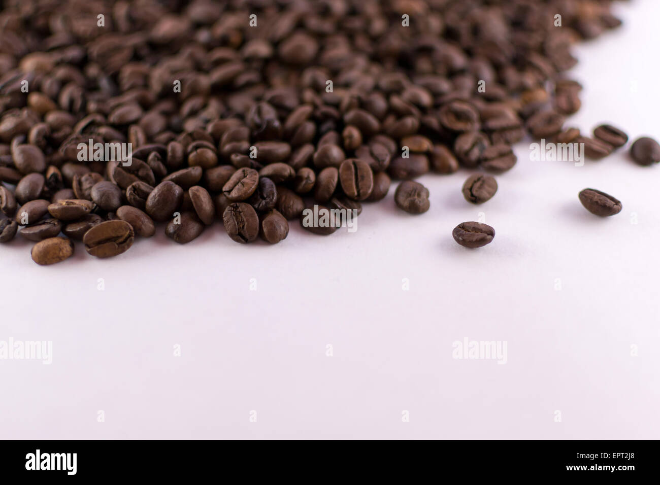 Oberfläche Ebene Nahaufnahme von losen Kaffeebohnen auf weißem Hintergrund Stockfoto