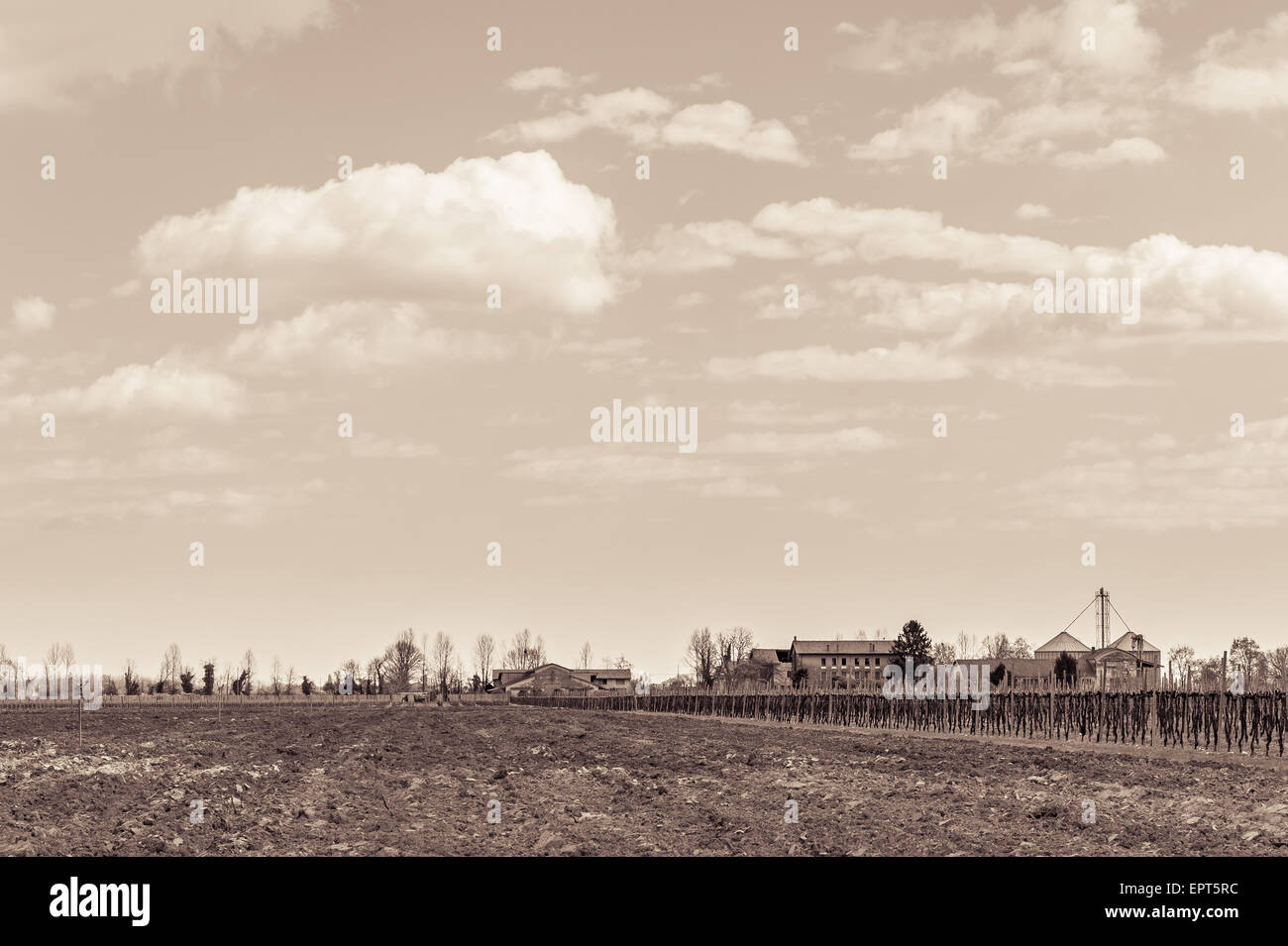 Vintage-Effekt. Agrarlandschaft mit Weingut und Bauernhof Haus im Hintergrund. Stockfoto