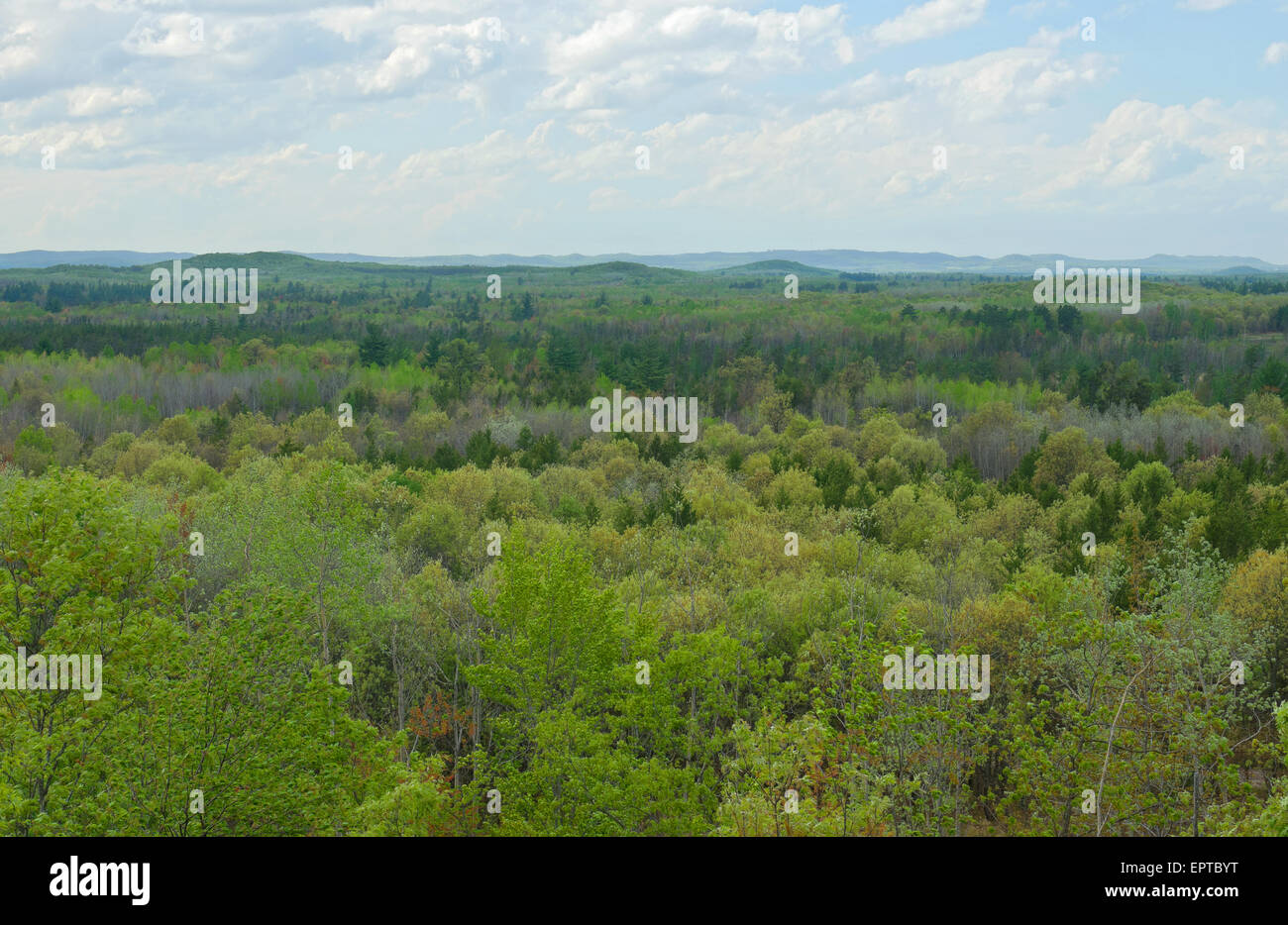 Glocke-Hügel, die malerischen übersehen oben Black River Valley fällt außen Black River im zentralen wisconsin Stockfoto