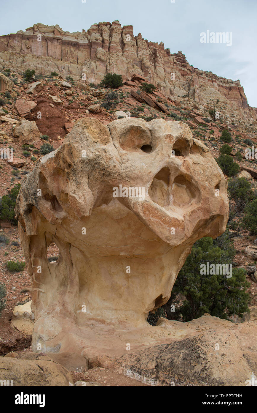 Erosions-Funktion, Capitol Reef National Park, Scenic Drive, Utah, USA Stockfoto