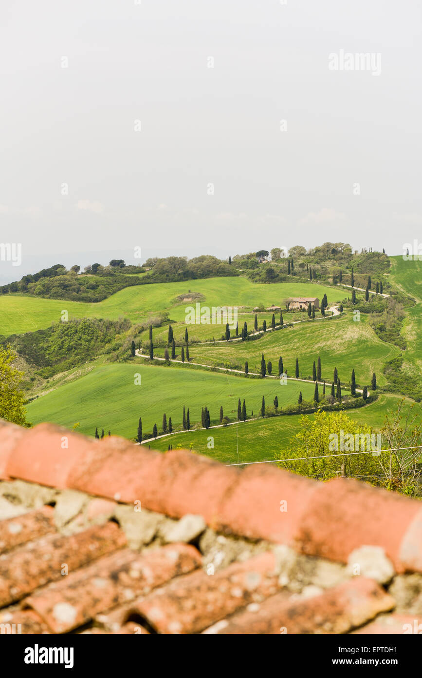 Chiarentana, Toskana, Italien Stockfoto