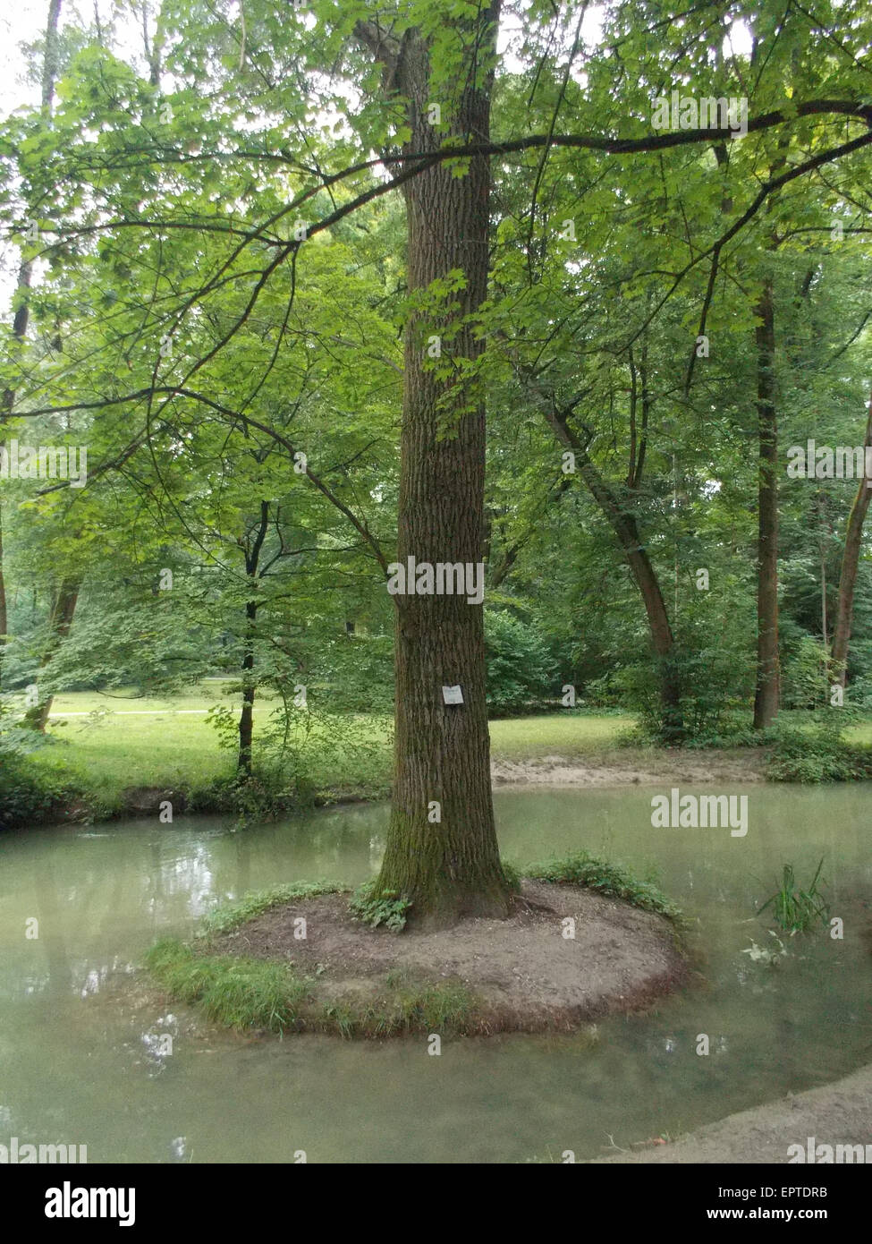 Eine hübsche kleine Insel mitten im Fluss Stockfoto