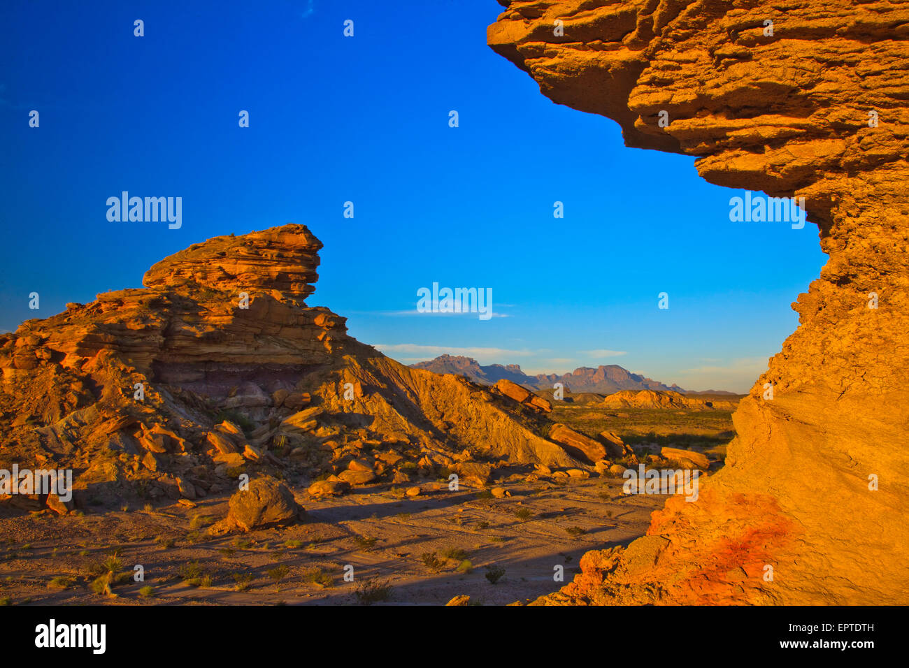 Tornillos Creek Hoodoos, Big Bend Nationalpark, West Texas bei Sonnenaufgang die Chisos Mountains im Hintergrund Stockfoto