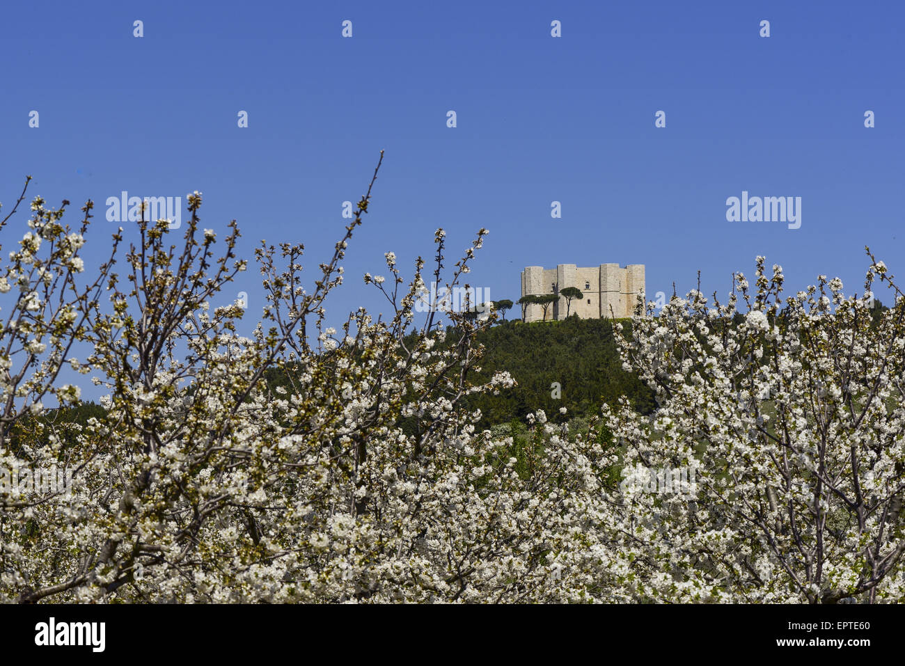 Castel del Monte, Apulien, Italien, Friedrich II., UNESCO-Weltkulturerbe Stockfoto
