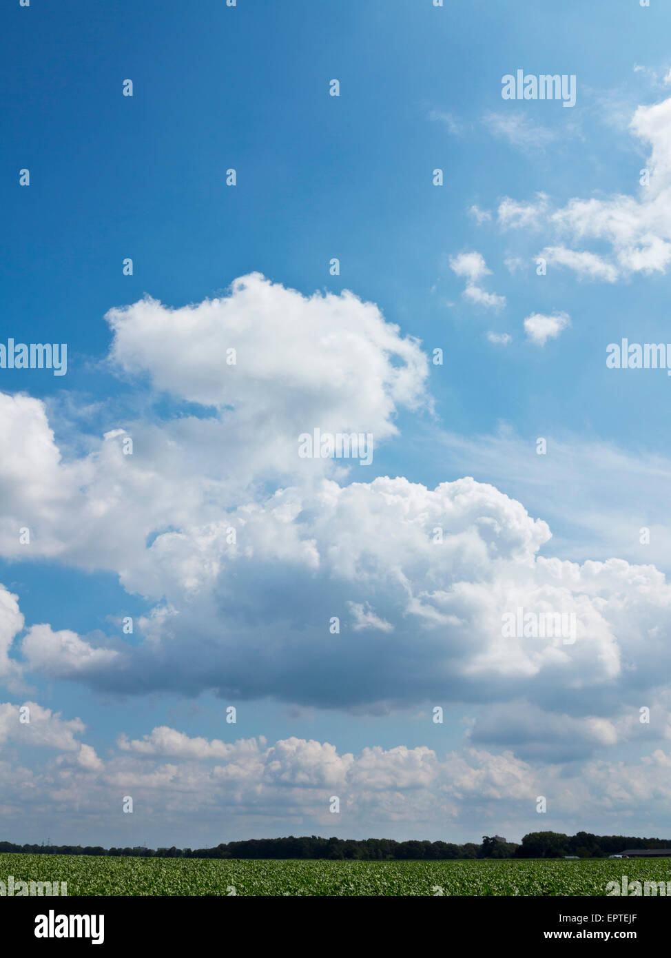 Geschwollenen Wolken im blauen Himmel, Nordrhein-Westfalen, Deutschland Stockfoto