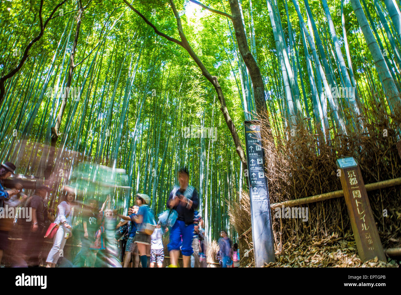 Arashiyama Bambushain in Kyoto, Japan (mit Personen) Stockfoto