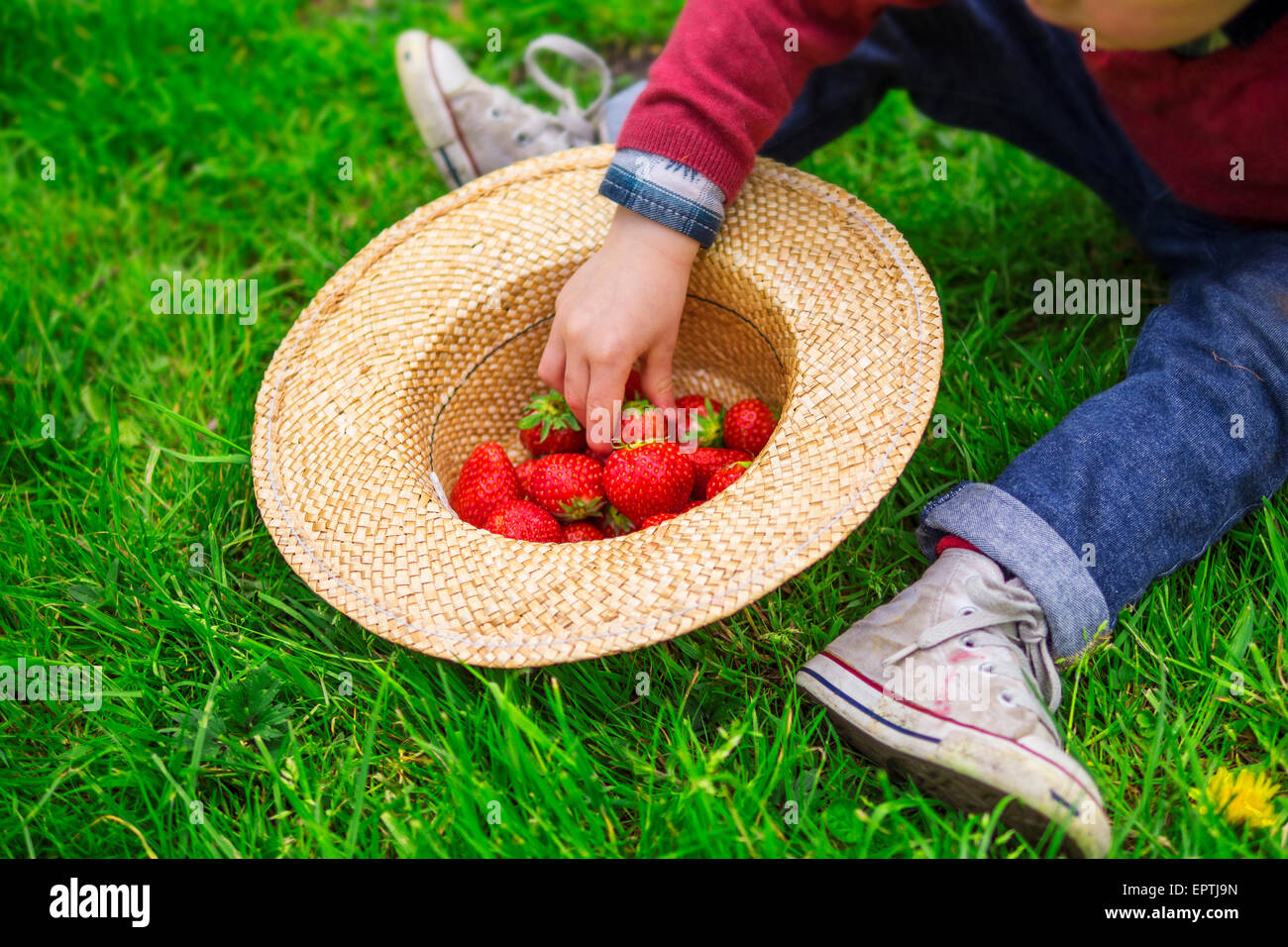 Nahaufnahme eines Kindes Erdbeeren essen Stockfoto