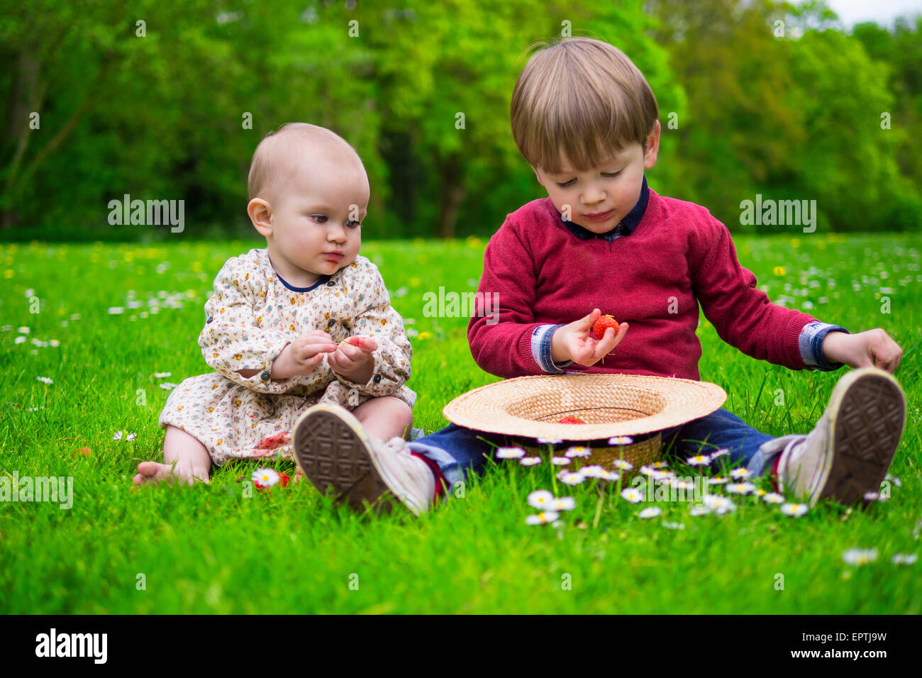 niedlichen Kinder teilen Erdbeeren Stockfoto