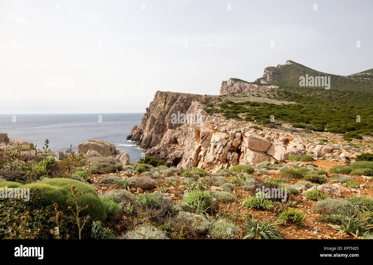 Die Küste von Porto Conte Nationalpark Alghero Sardinien Italien Stockfoto