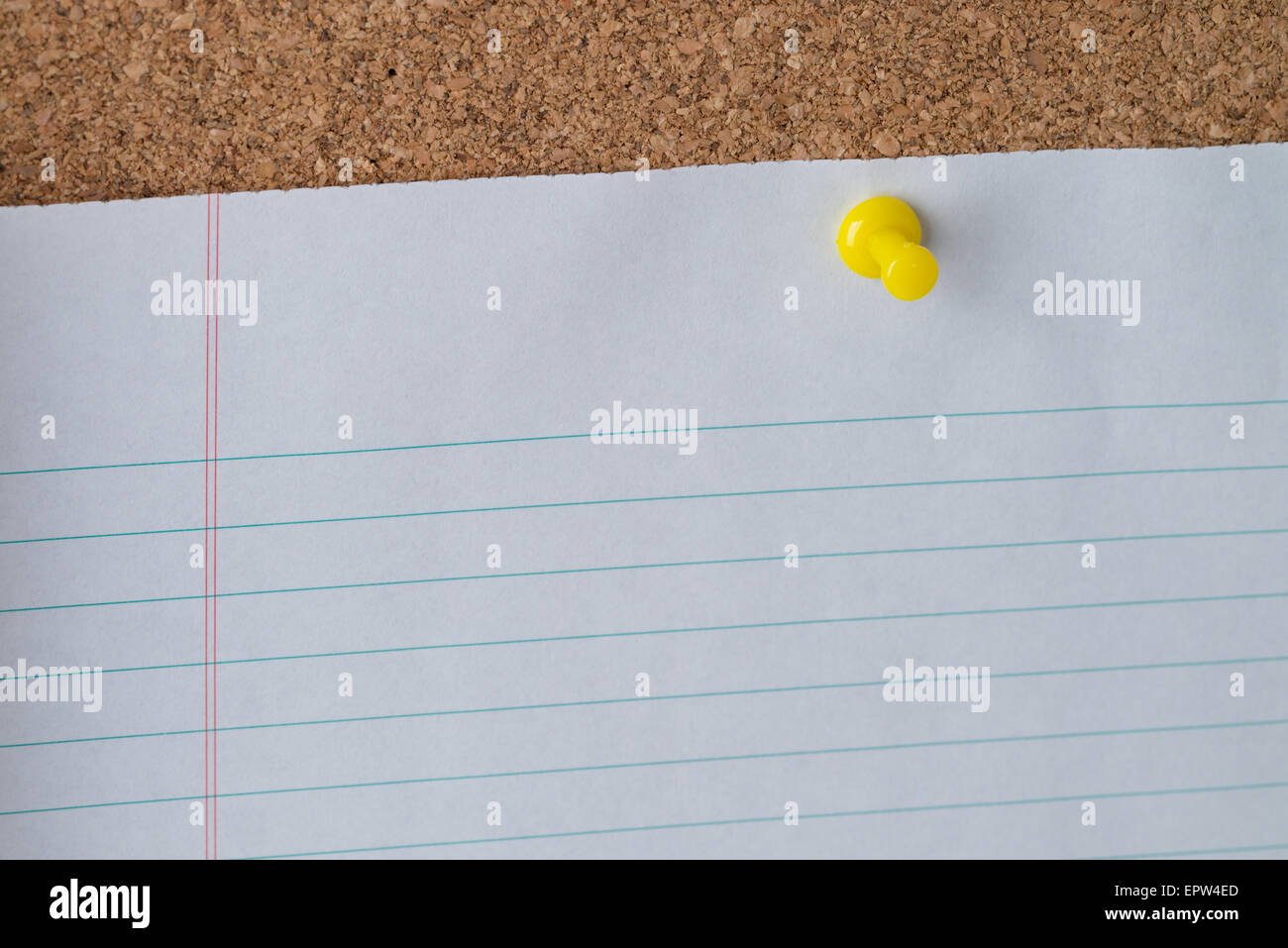 Eine gelbe Daumen Tack hält ein weißes Blatt Papier ausgekleidet Loseblatt auf einer Pinnwand. Stockfoto