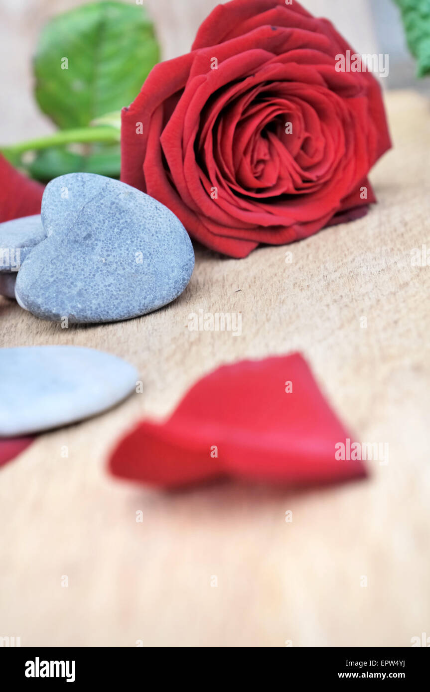 herzförmige Kiesel und rote Rosen mit Blütenblättern auf hölzernen Hintergrund Stockfoto