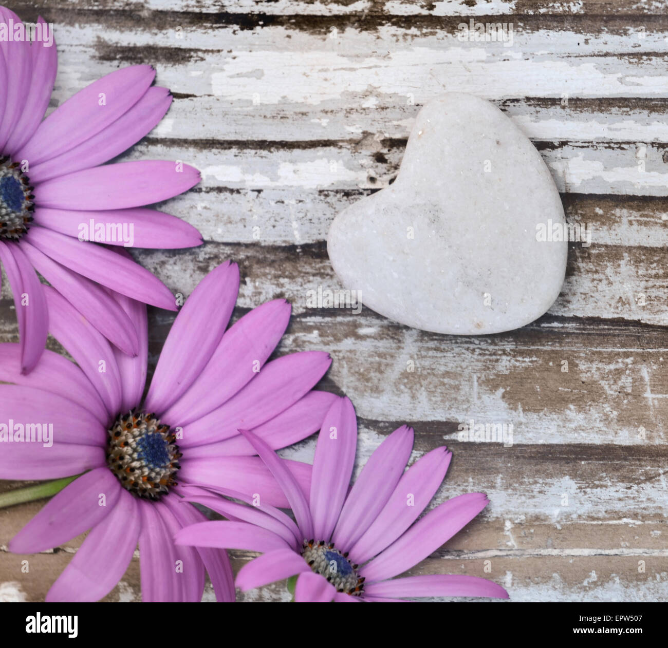 Corolla von Blumen auf altem Holz mit steinernen Herzen Stockfoto