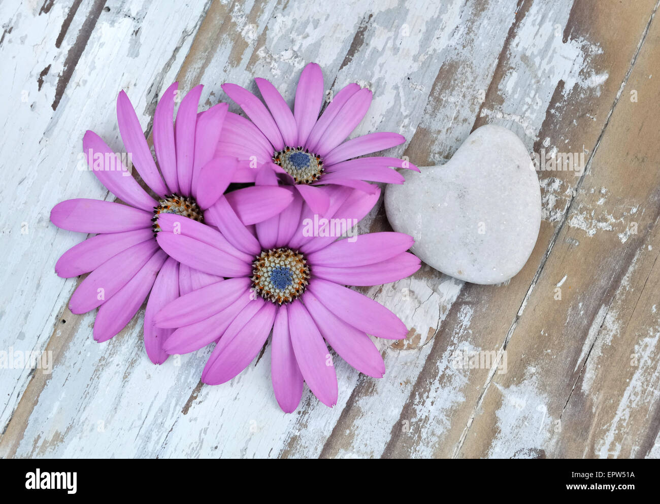 Corolla von Blumen auf altem Holz mit steinernen Herzen Stockfoto