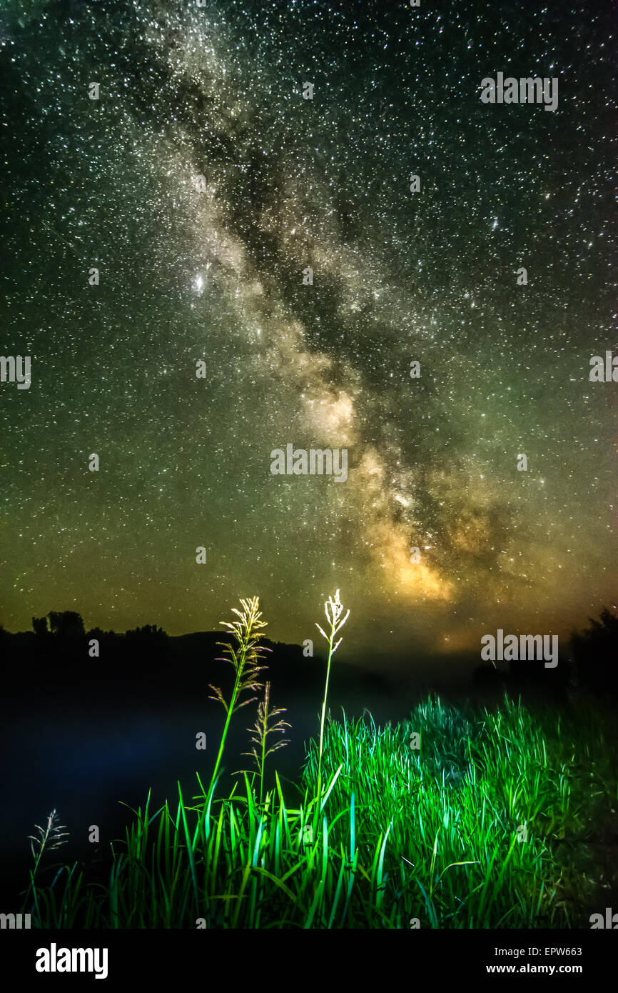 Nigt am nebligen Fluss - grünes Licht Cane mit Sternen, deep-Sky und Hintergrund der Milchstraße Stockfoto