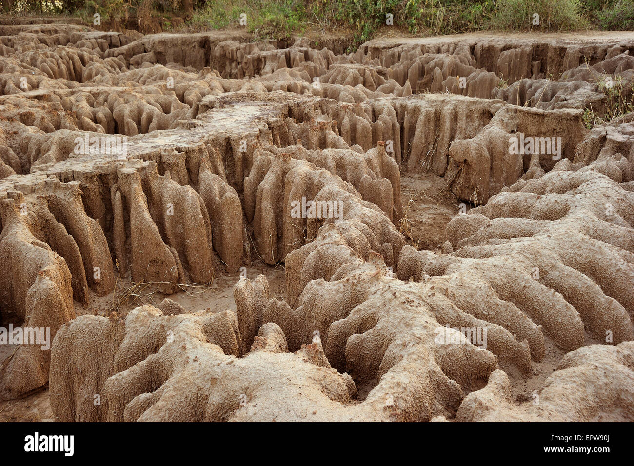 Erosion an den Ufern des Sambesi-Flusses, Lower Zambezi National Park, Sambia Stockfoto