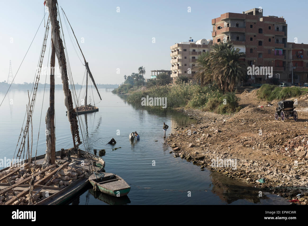 Calesh Treiber Baden ihre Pferde im Nil in Edfu vor einer großen Felucke tragen Stein für den Bau Stockfoto