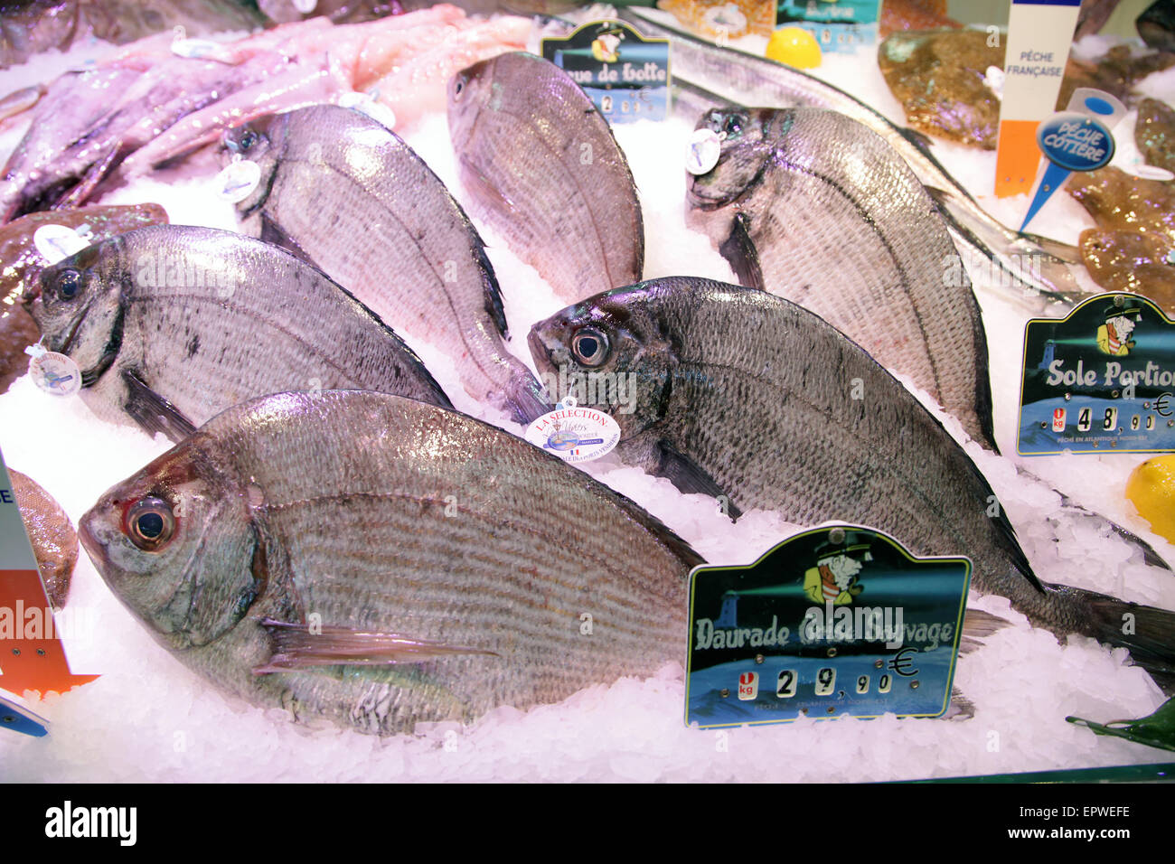 Paris-Fischmarkt Fischmarkt Stockfoto