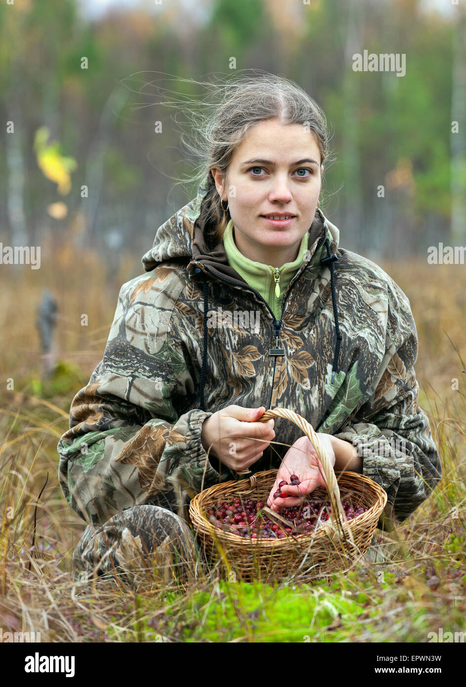 Junge Frau pick Cranberry auf einem Moor. Stockfoto