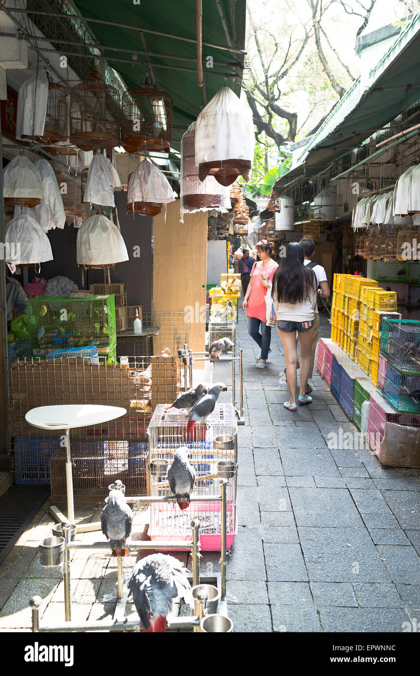 dh Yuen po Vogel Markt MONG KOK HONG KONG Leute zu Fuß durch Vogel Marktstände Stockfoto