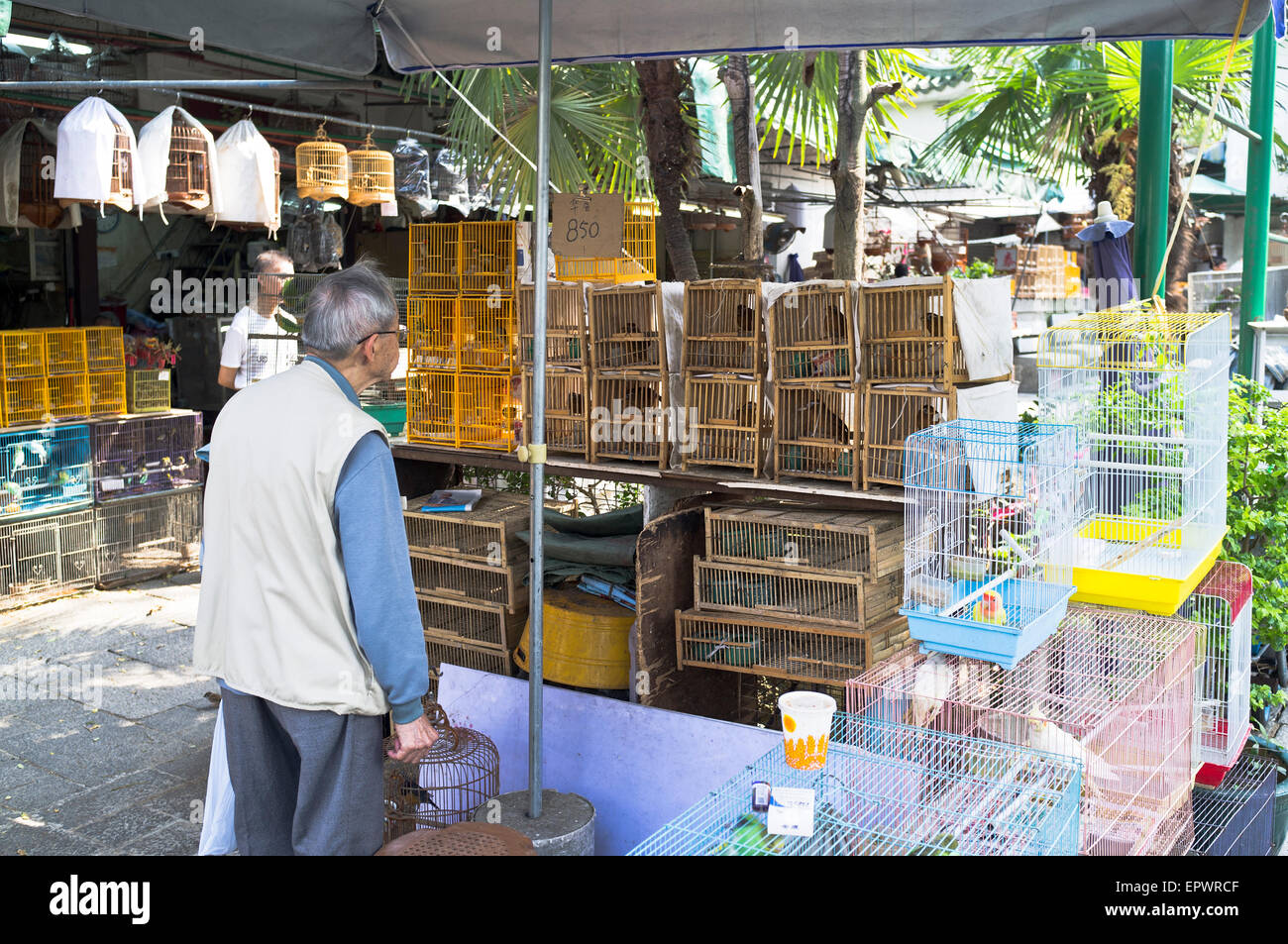 Dh Yuen Po Bird Market Mong Kok Hong Kong Chinese Bird Market shop Kunden in Asien Stockfoto