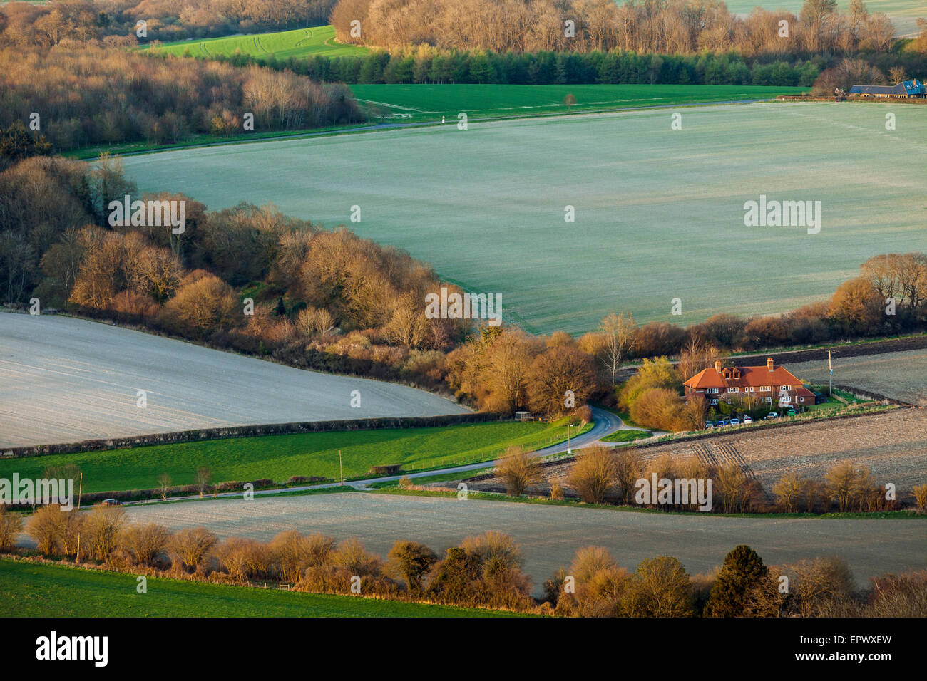 Abend im Frühjahr auf der South Harting, West Sussex, England. Stockfoto