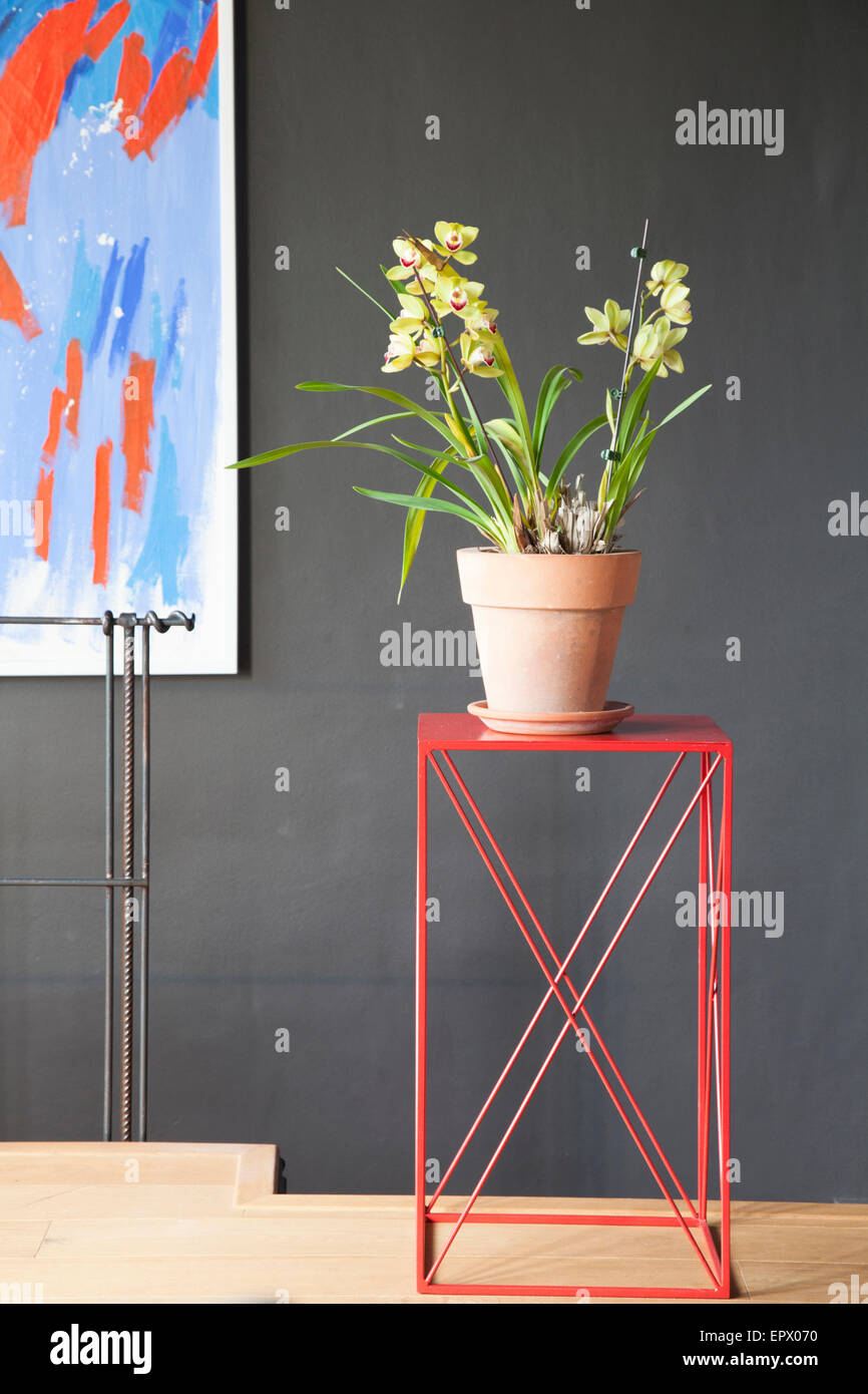 Orchidee in Terrakotta-Topf auf roten Stahltisch im südafrikanischen Heimat Stockfoto