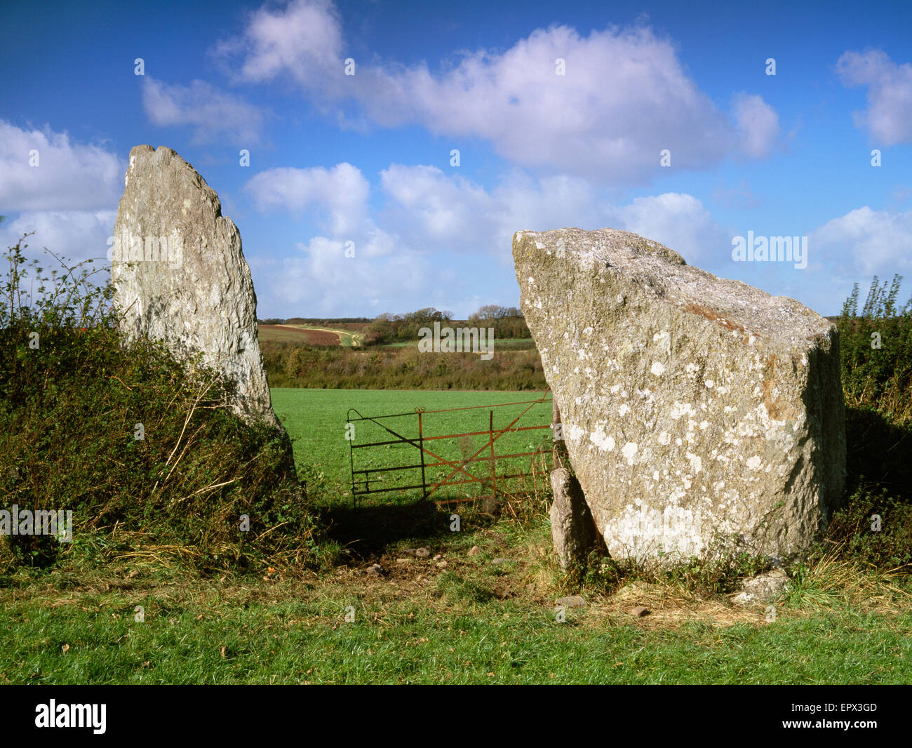 Bryn Gwyn Menhire, Anglesey, North Wales, UK. Zwei verbliebenen Steinen aus einem massiven Stein Kreis, wohl Teil eines viel größeren Rituals Komplex. Stockfoto