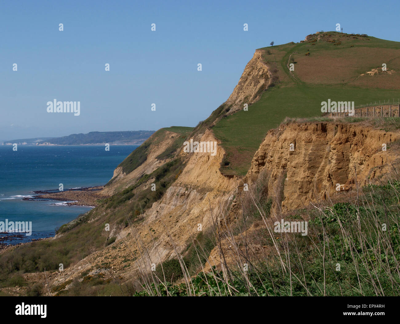 Dorset Küste in der Nähe von Eype in Richtung einladendsten, UK Stockfoto