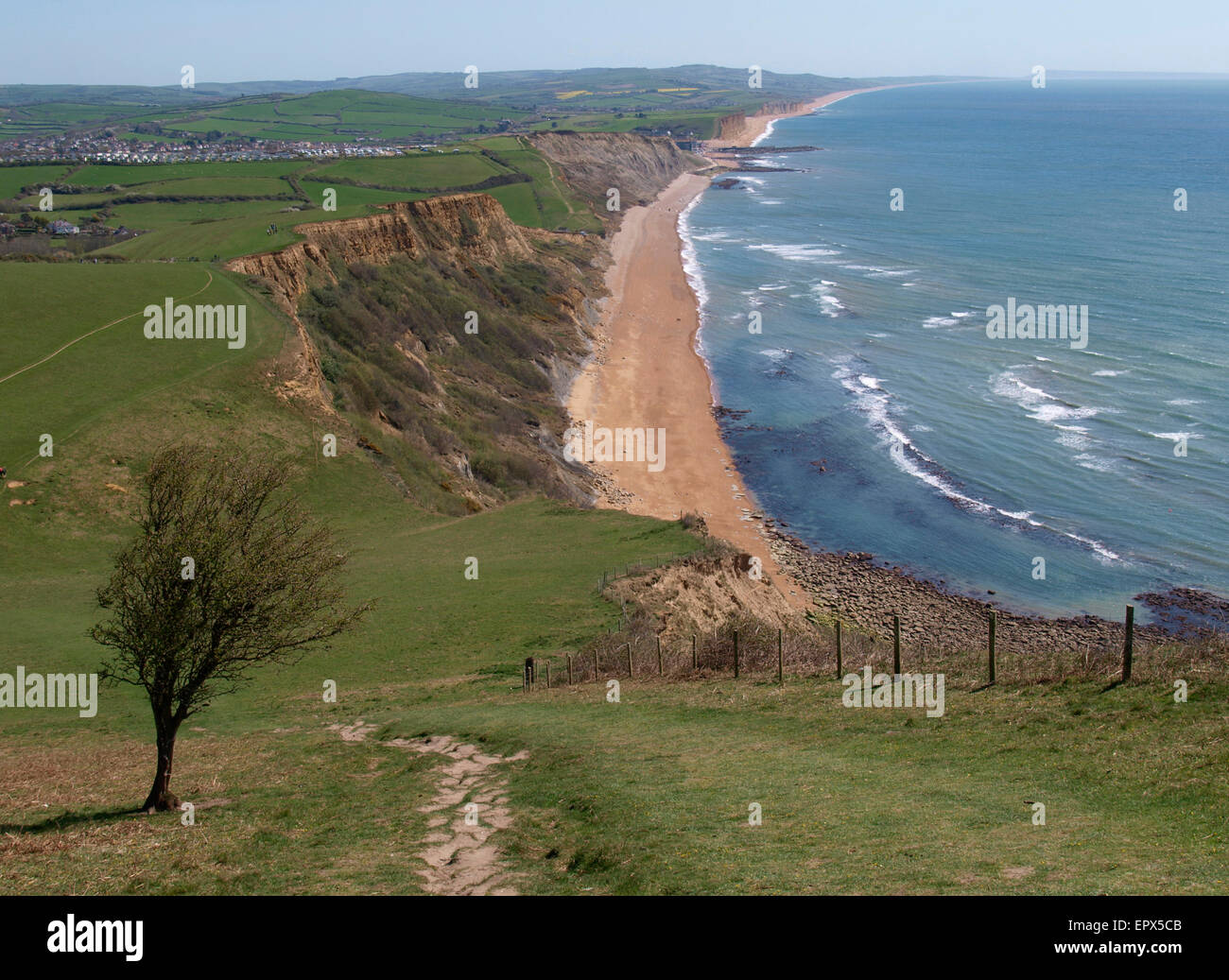 Südwest-Küstenweg, Blick vom Thorncombe Beacon Hill, Eype, Dorset, Großbritannien Stockfoto