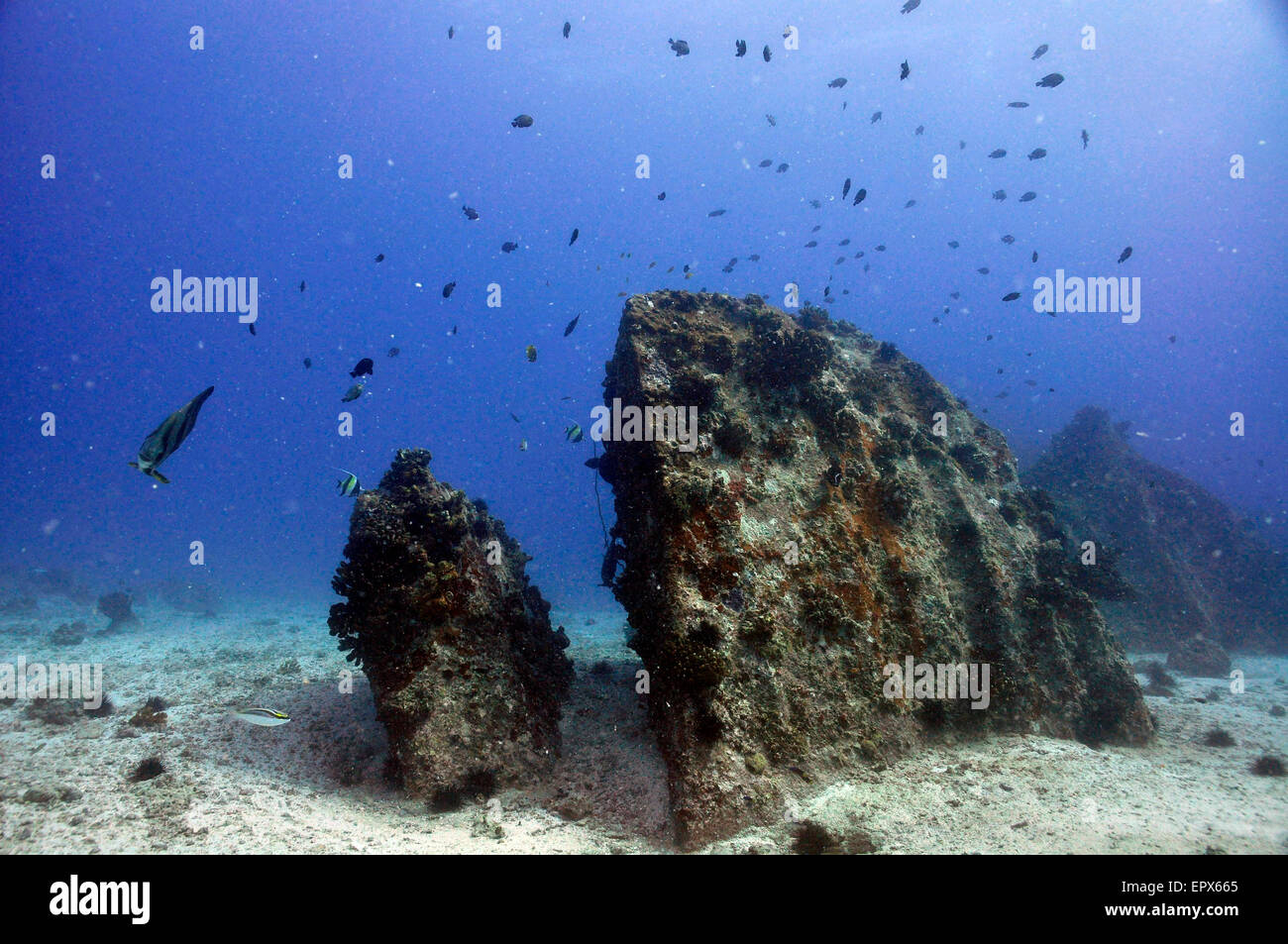 Unterwasser Felsen auf dem sandigen Boden. Seychellen Stockfoto