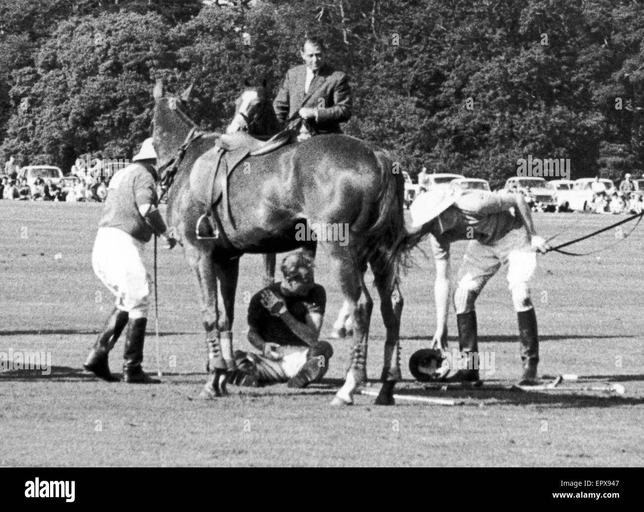 Prinz Philip hockt unter seinem Pferd Aufhellung nach He abgesägt mit drei anderen während eines Spiels im WIndsor Great Park. Legen Sie noch für ein paar Augenblicke, dann stand er auf und spielte die auf im Spiel. Später überprüft im Krankenhaus. 4. Juni 1963. Stockfoto