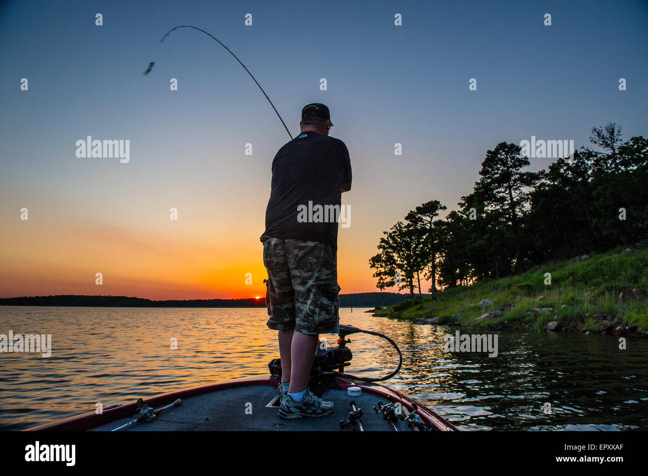 Fischer am Bug des Bass Boot Angeln bei Sonnenuntergang für forellenbarsch McGee Creek Lake in Oklahoma. Stockfoto