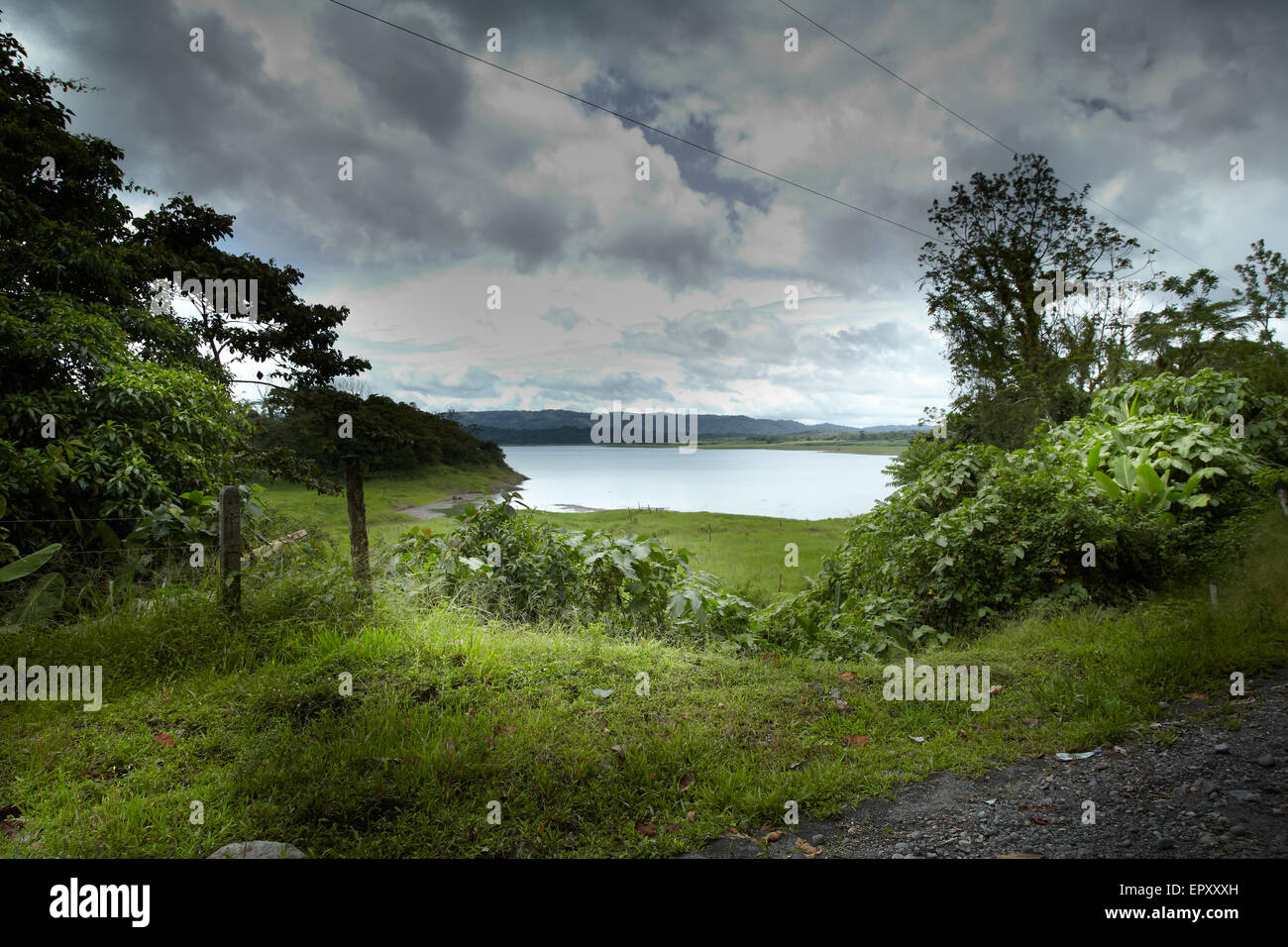 See im Wald, Costa Rica Stockfoto