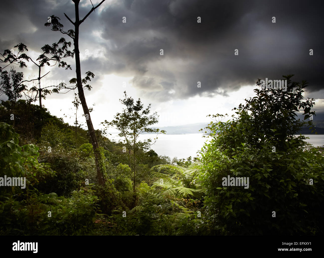 See im Wald, Costa Rica Stockfoto