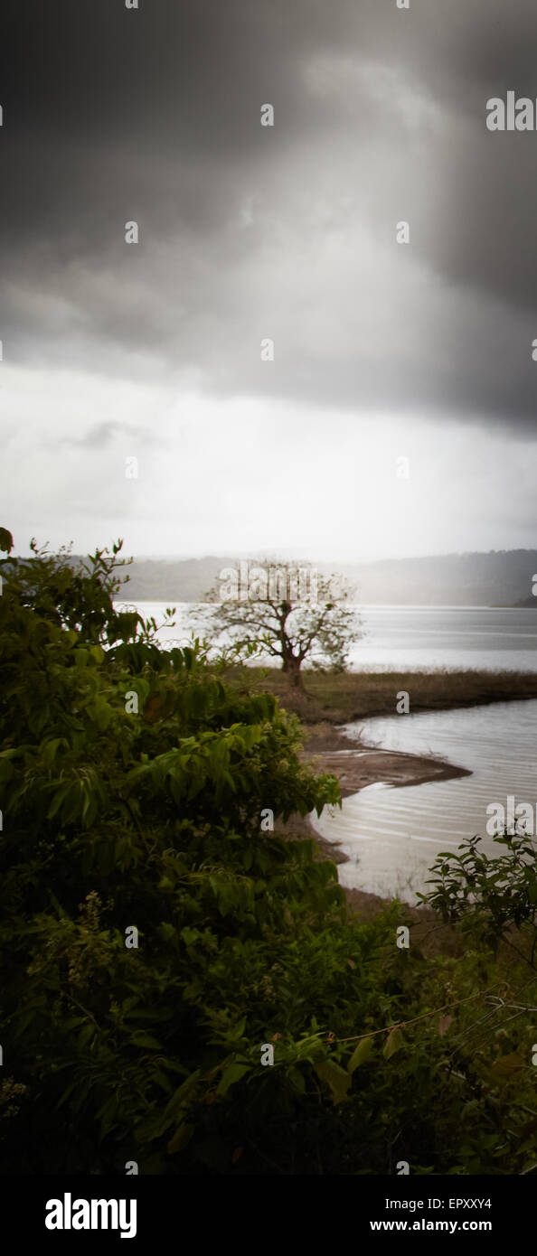 See im Wald, Costa Rica Stockfoto