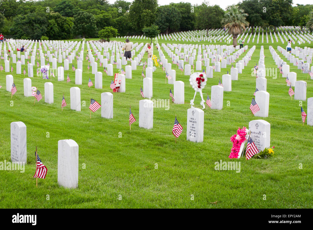 Junge platzieren Pfadfinder und andere freiwillige amerikanische Flaggen an Grabstätten bei Memorial Day Vorbereitungen in Fort Sam Houston National Cemetery. Stockfoto