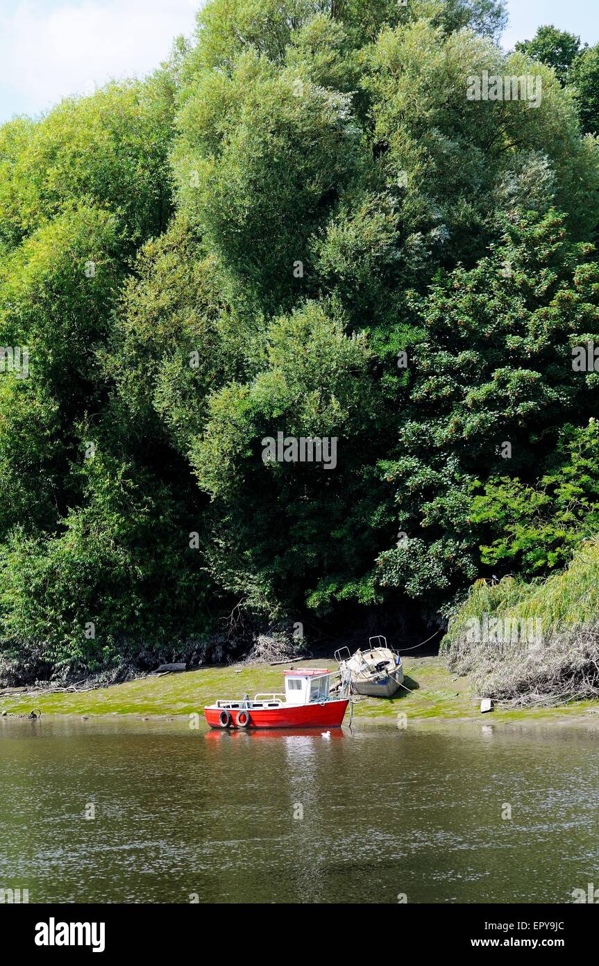 Dee-Fluss mit Booten vertäut am Ufer, Chester, Cheshire, England, Vereinigtes Königreich, West-Europa. Stockfoto