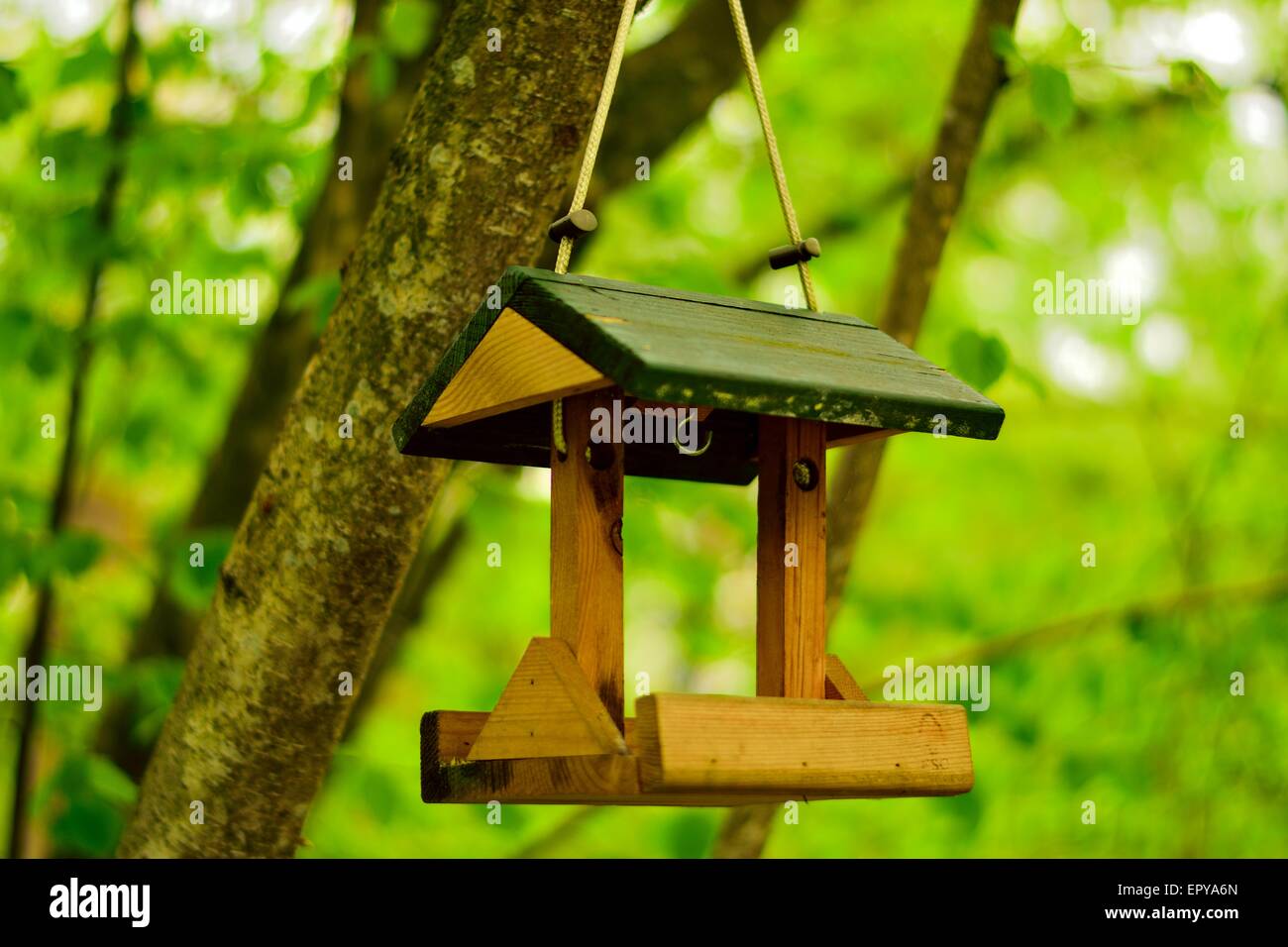 Vogelhaus Stockfoto