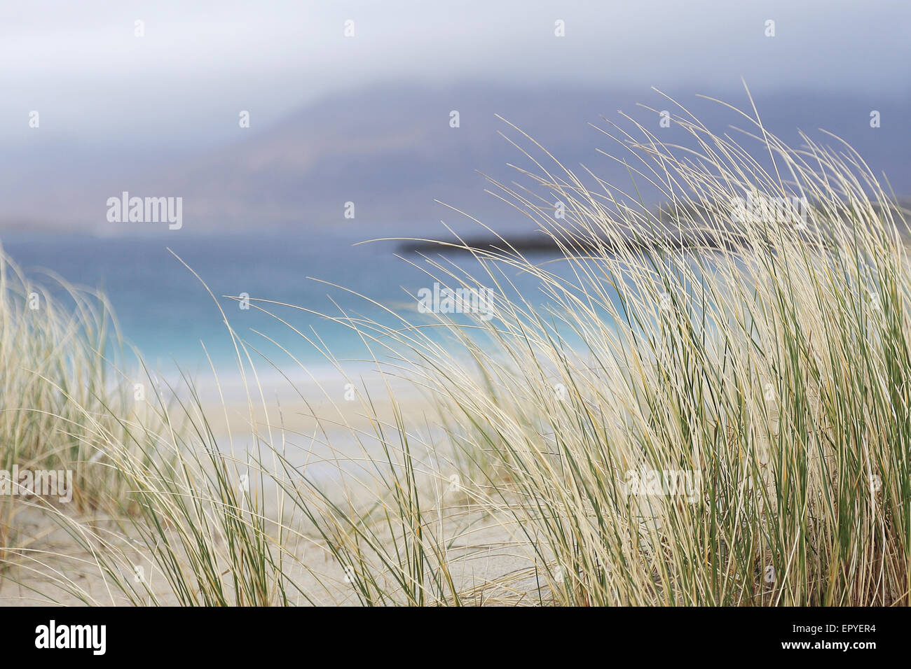 Luskentyre Strand, Insel Harris, äußeren Hebriden, Schottland, Vereinigtes Königreich Stockfoto