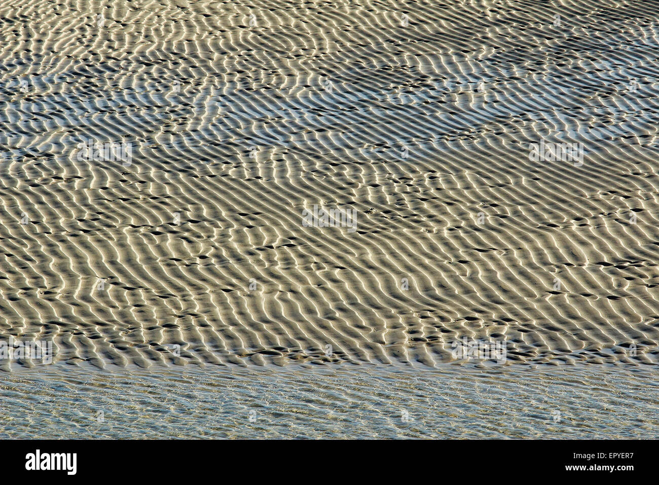 Sand kräuselt sich bei Ebbe, Luskentyre Strand, Insel Harris, äußeren Hebriden, Schottland, Vereinigtes Königreich Stockfoto
