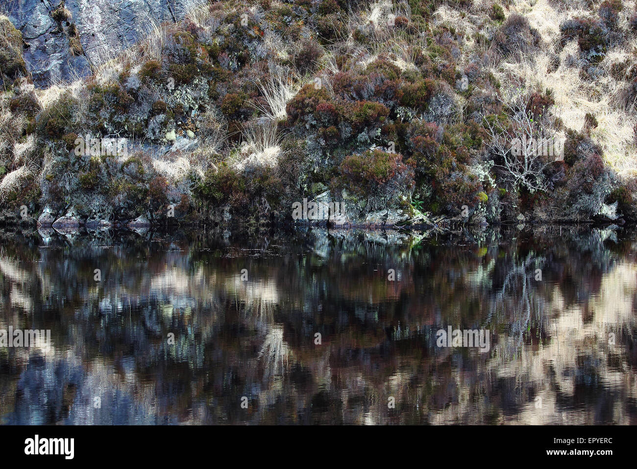 Rock Reflexionen, Harris-Insel, äußeren Hebriden, Schottland, Großbritannien Stockfoto