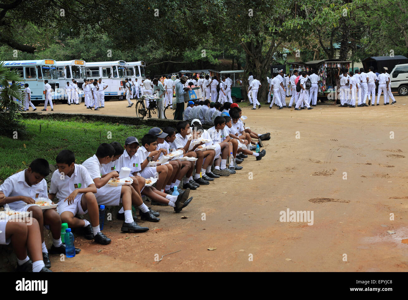 Große Gruppen von Schülerinnen und Schüler besuchen Polonnaruwa District, North Central Province, Sri Lanka, Asien Stockfoto