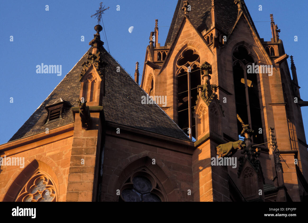Die Katharinen-Kirche, neben der Kathedrale von Straßburg und der Kathedrale in Colog, Oppenheim am Rhein, Deutschland, DEU Stockfoto