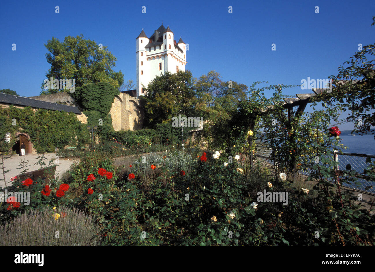 DEU, Deutschland, Eltville, die Burg am Rhein.  DEU, Deutschland, Eltville, Kurfuerstliche-Burg bin Rheinufer. Stockfoto