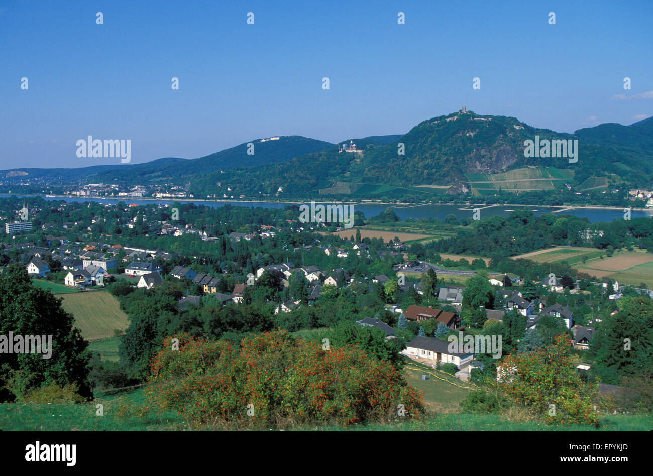 DEU, Deutschland, Blick über den Fluss von Bonn-Mehlem, auf den Berg Drachenfels Rhein und das Siebengebirge.  DEU, Deutschland, Stockfoto