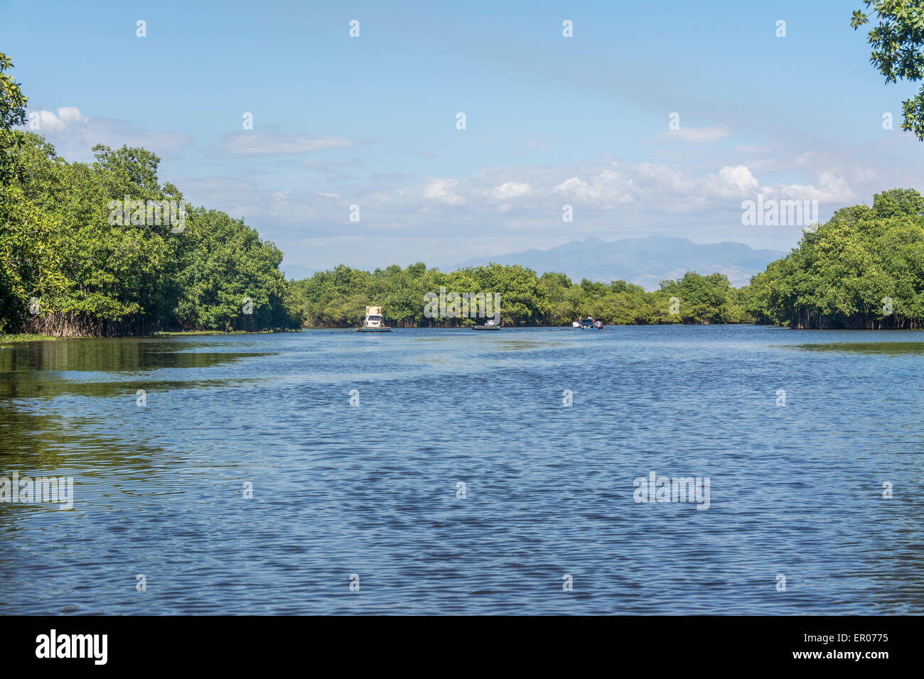 Boote und Fähren zwischen Monterrico und La Avellana Guatemala über den Kanal Chiquimulilla durch Mangrovensumpf Stockfoto