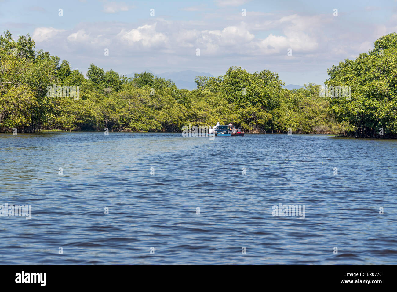 Fähre über den Kanal Chiquimulilla durch Mangrovensumpf zwischen Monterrico und La Avellana Guatemala Stockfoto