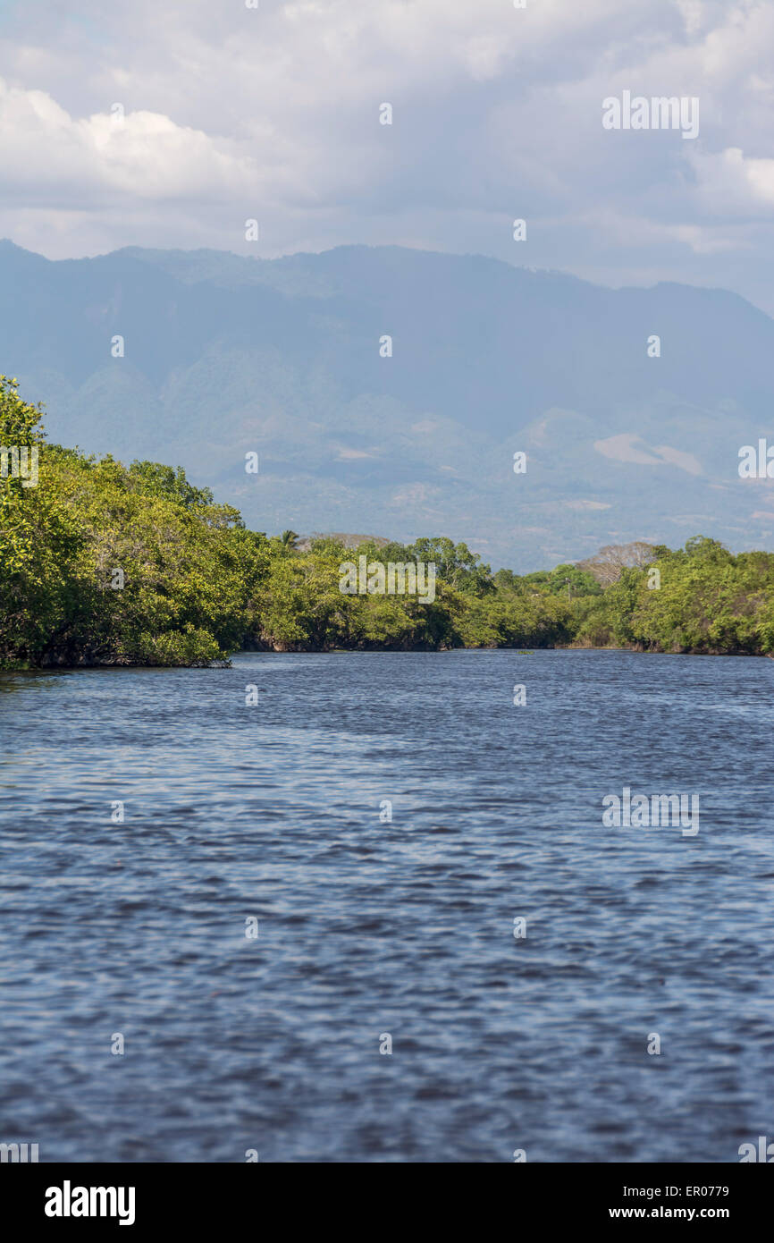 Kanal von Chiquimulilla durch einen Mangrovenwald in Guatemala Stockfoto