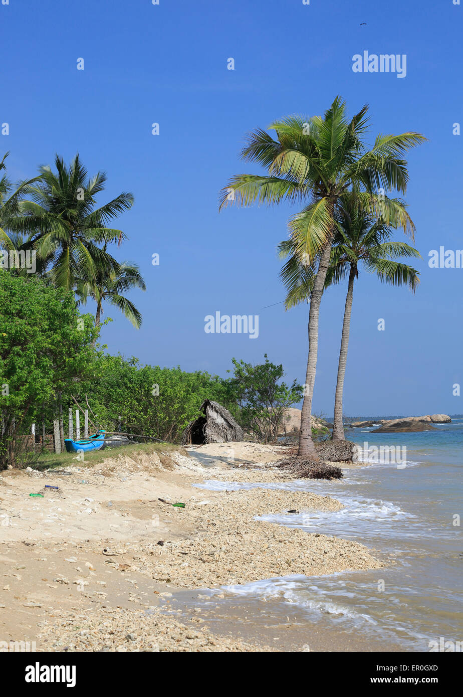 Ozean und Sandy tropischen Strand von Pasikudah Bay, Eastern Province, Sri Lanka, Asien Stockfoto